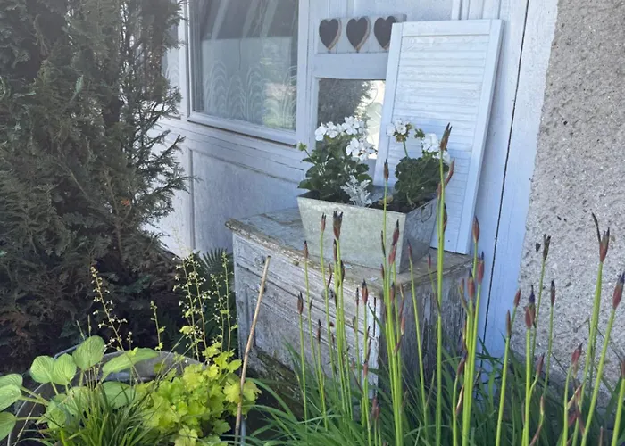 Tififi Na Wloskiej Prowincji Habitación en casa particular Pobierowo