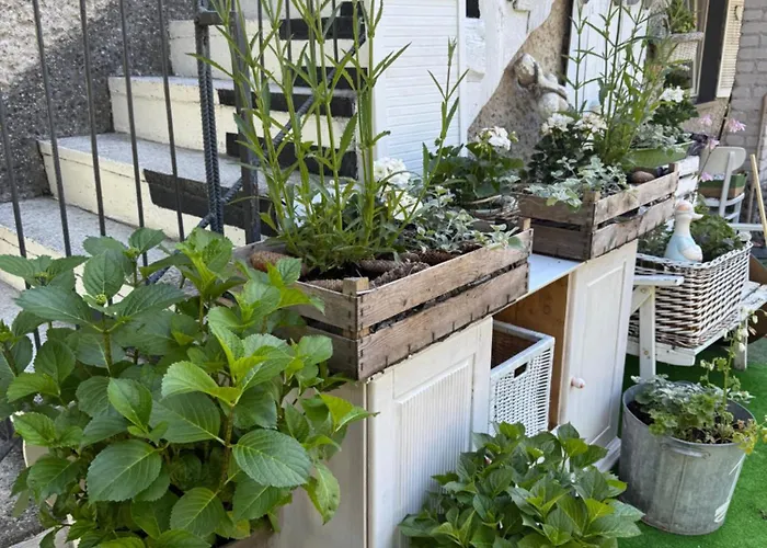 Tififi Na Wloskiej Prowincji Habitación en casa particular *